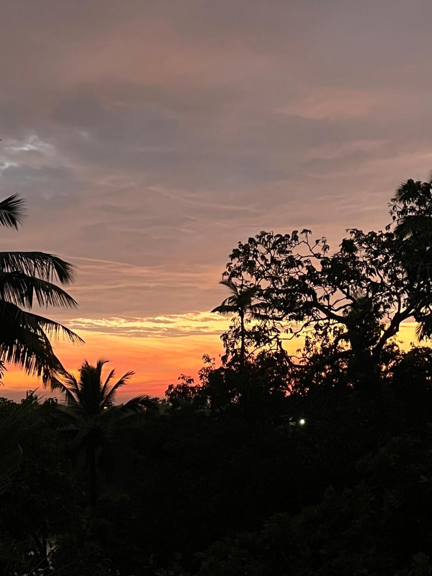 Green Nest Hostel, Baga- North Goa 아르포라 외부 사진