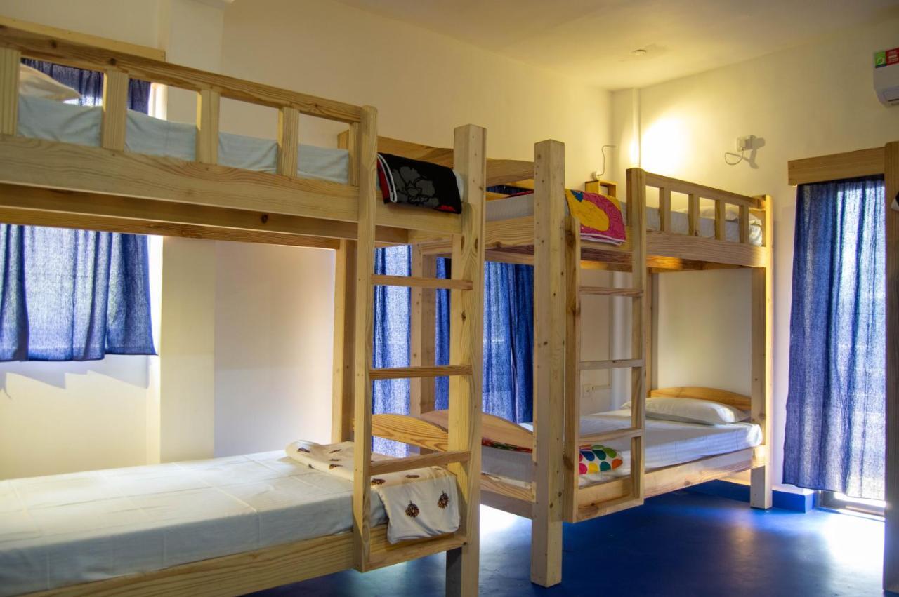 Green Nest Hostel, Baga- North Goa 아르포라 외부 사진