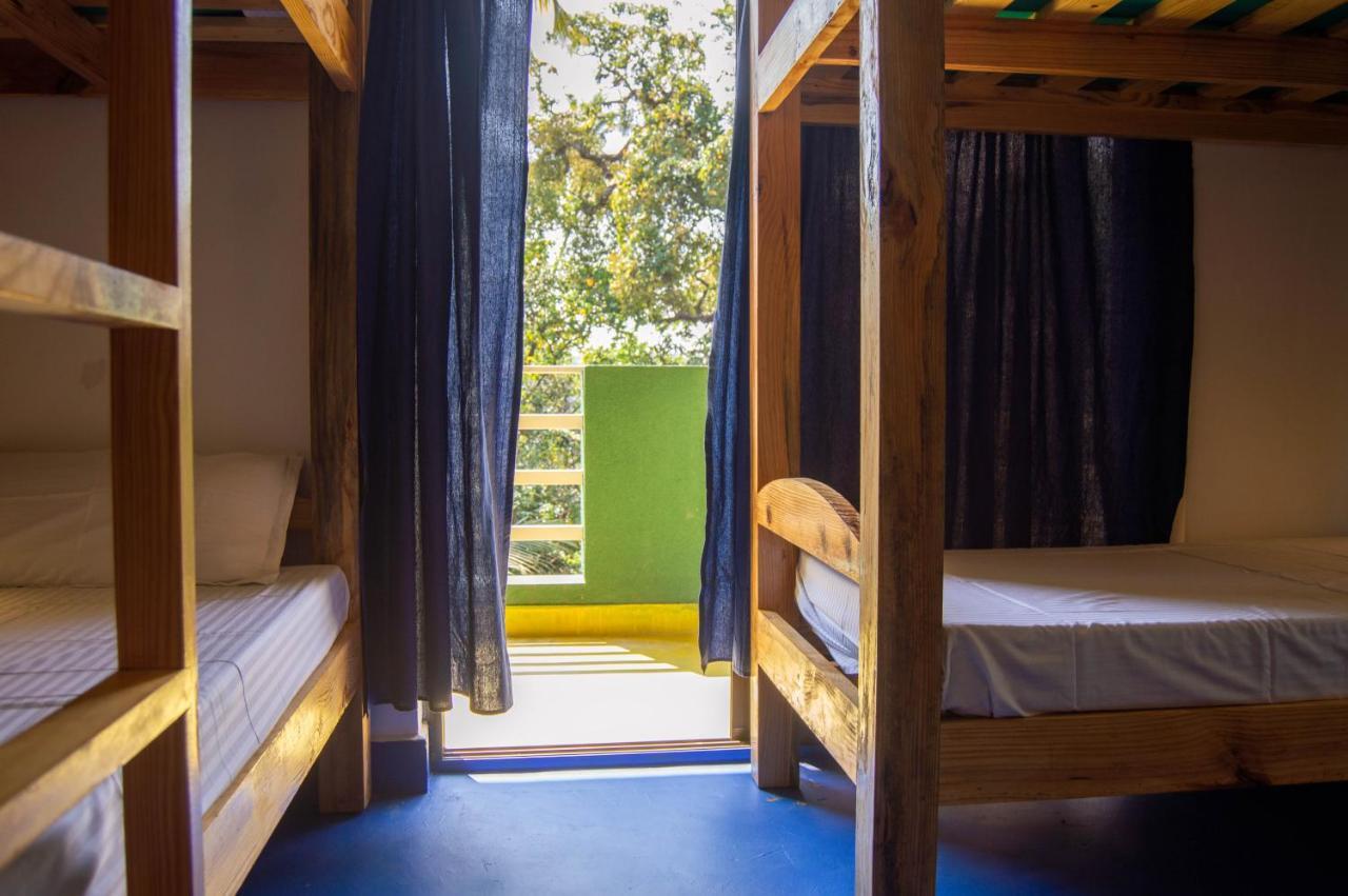 Green Nest Hostel, Baga- North Goa 아르포라 외부 사진